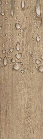 ⁦Ruby DM-301⁩ - الصورة ⁦3⁩