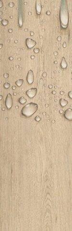 ⁦Excelsior DM-303⁩ - الصورة ⁦3⁩