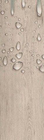 ⁦Cullinan DM-309⁩ - الصورة ⁦2⁩