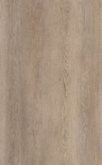 ⁦WD202-PL Dominicano Oak⁩ - الصورة ⁦2⁩