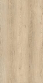 ⁦DM303-PL Excelsior⁩ - الصورة ⁦2⁩