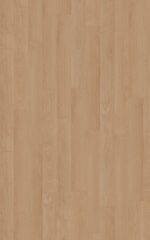 ⁦EXQUISIT 3004⁩ - الصورة ⁦3⁩