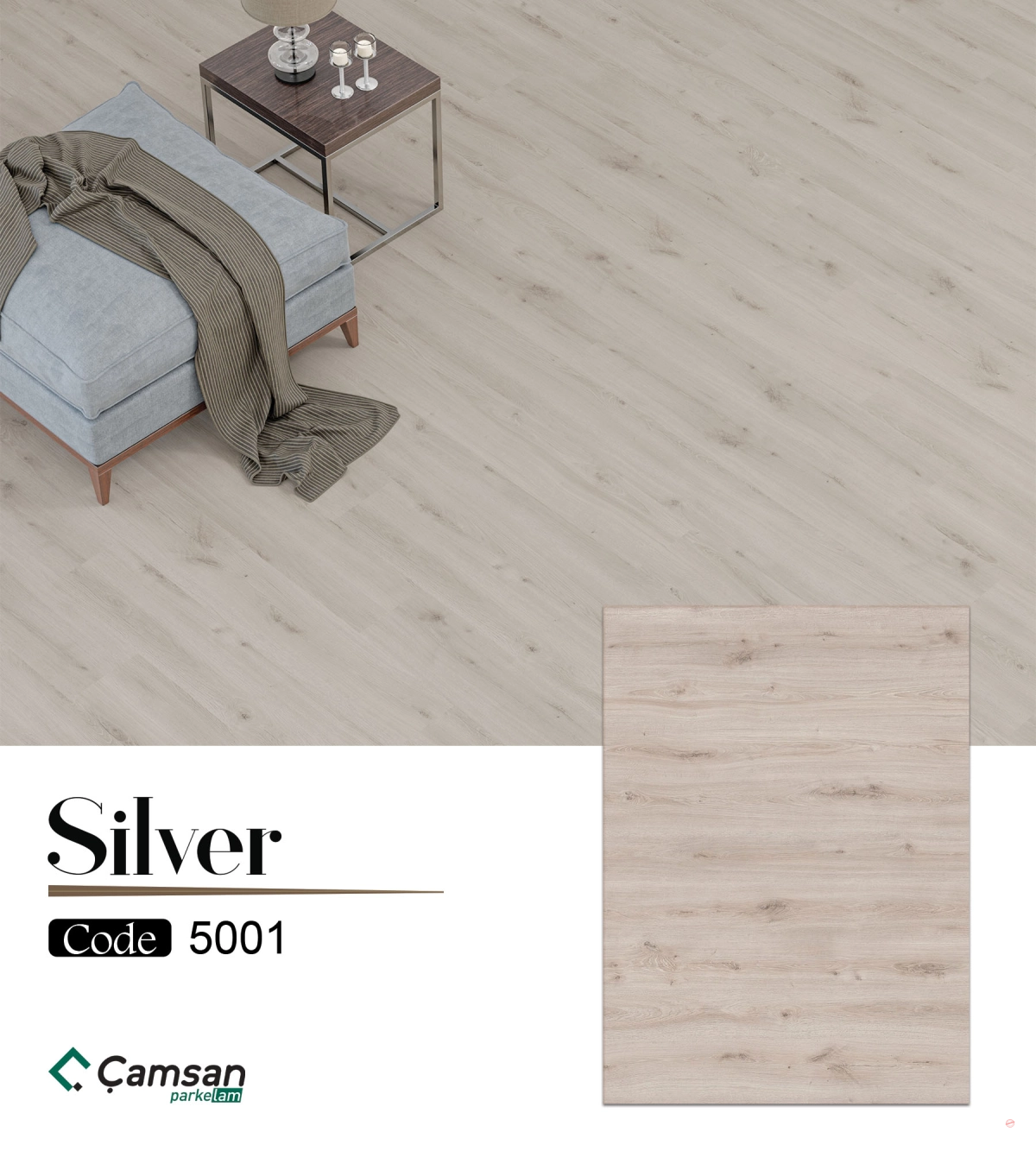 207_68c7d801d82cd_1200.webp Silver - الصورة 1