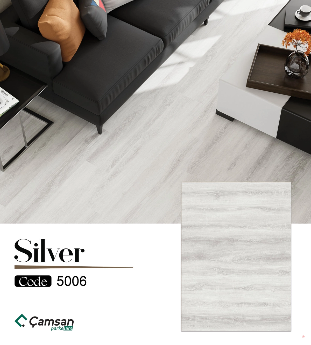 212_68c7d901dbeba_1200.webp Silver - الصورة 1