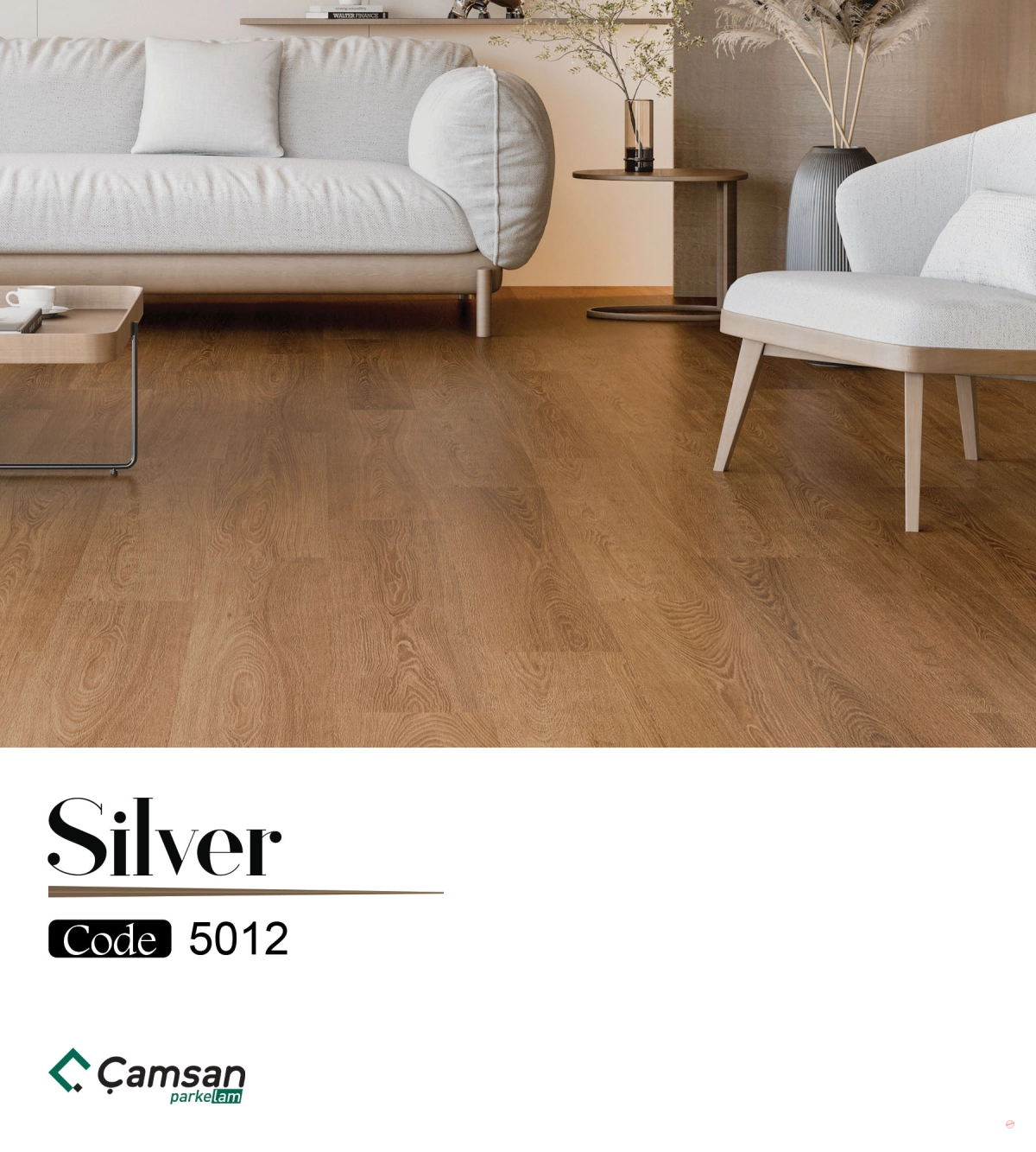 216_68c7d9d938cbd_1200.webp Silver - الصورة 1