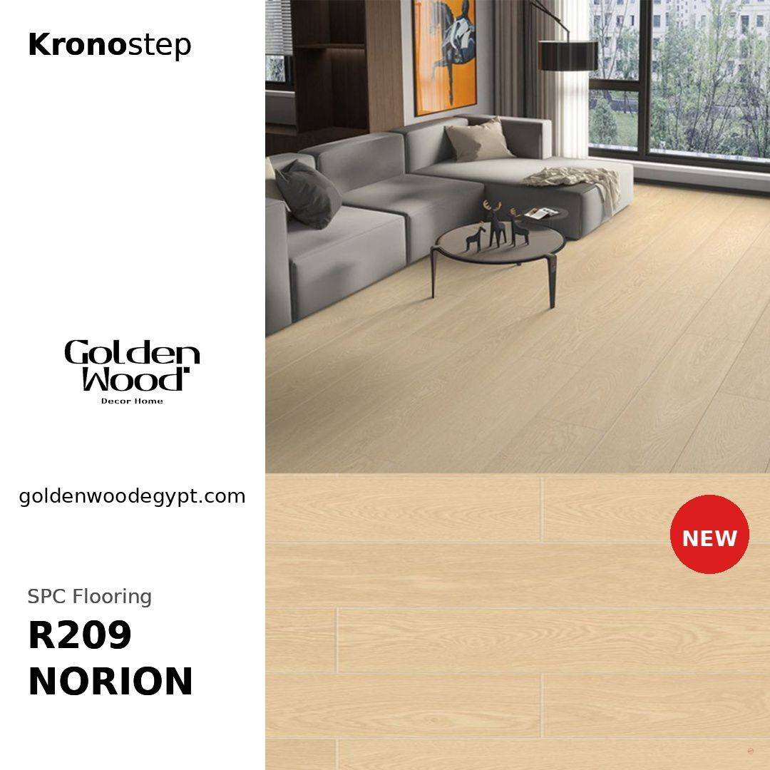 R209 NORION R209 NORION - الصورة 1